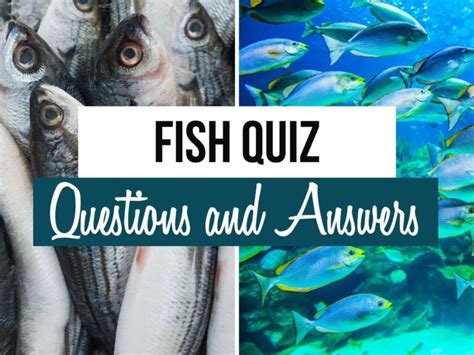 Fish Quiz Worksheets