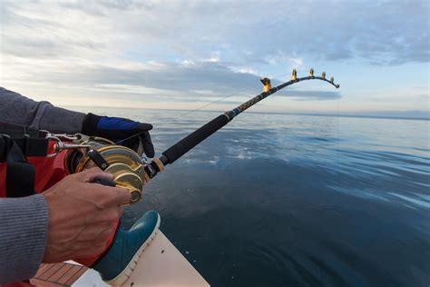 Enhancing Your Fishing Experience