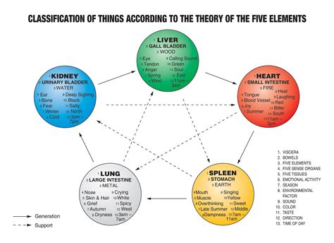 Five Elements Theory