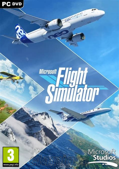 Flight Simulators