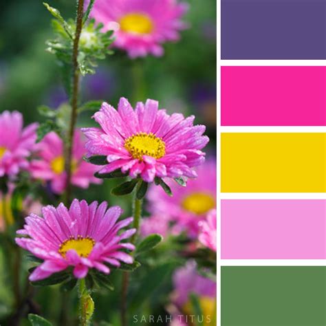 Flower Color Palettes