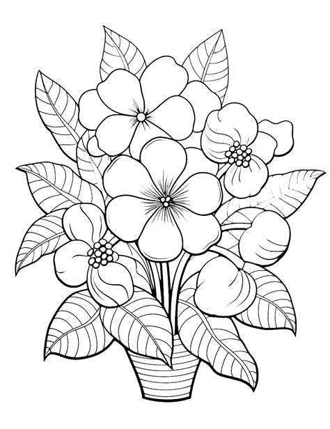 Flower coloring pages printable for adults and relaxation