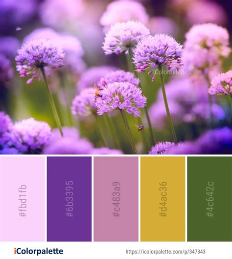 Flower Colour Palette Ideas