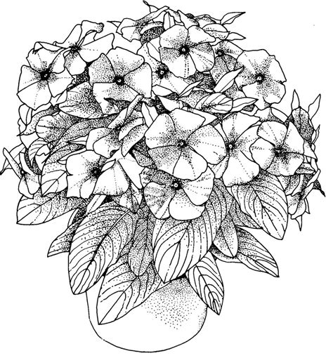 Flowers coloring pages for adults