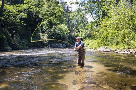 Fly Fishing Basics