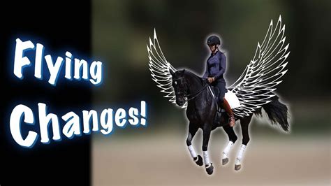 Horse performing flying change