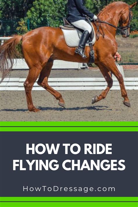 Horse performing flying change