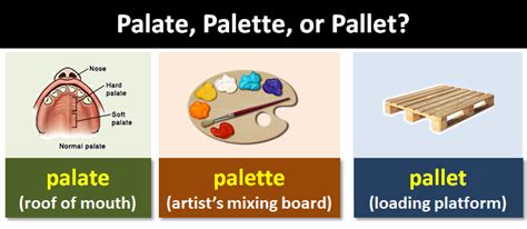 Food palette meaning