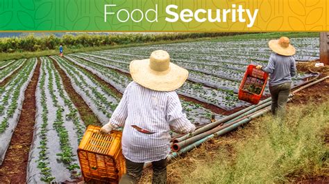 Decreased food security