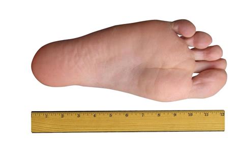 Foot ruler