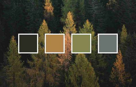 Forest color palette 10