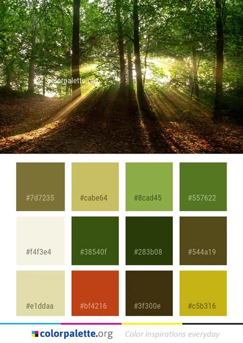 Forest color palette 2