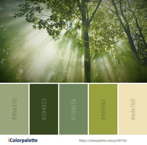 Forest color palette 3