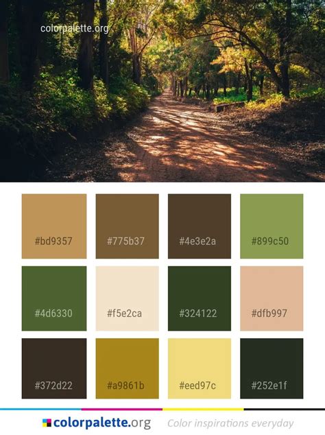 Forest Color Palette