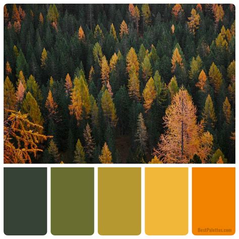 Forest Color Palette in Fashion