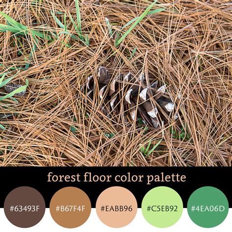 Forest floor color palette