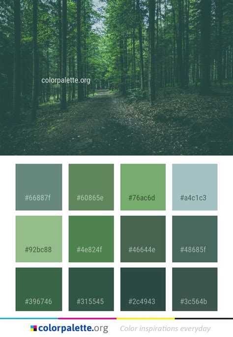 Forest Green Color Palette