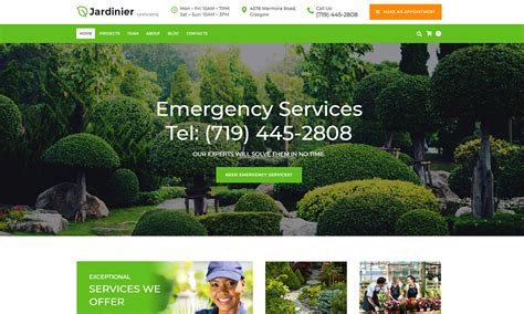 Forest Green Web Design Inspiration