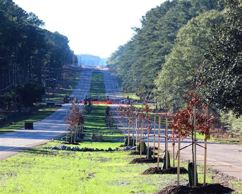 A photographer respecting the environment at Fort Bragg