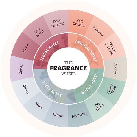 Fragrance Preferences