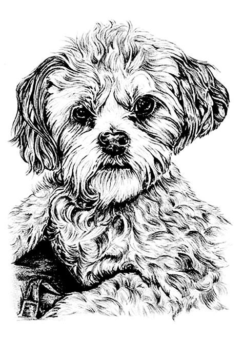 Free Dog Coloring Pages Printable for Adults