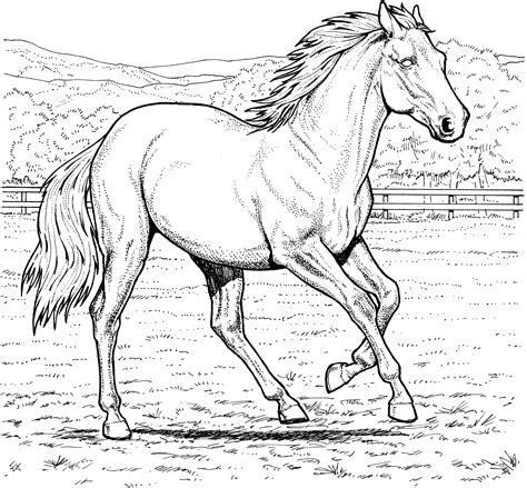 Free horse coloring pages