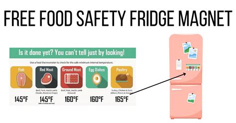 Fridge Magnet Safety