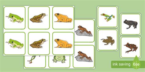 Froggy Matching Games