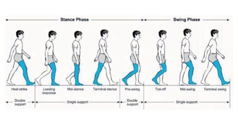 Gait analysis at Fleet Feet Pensacola