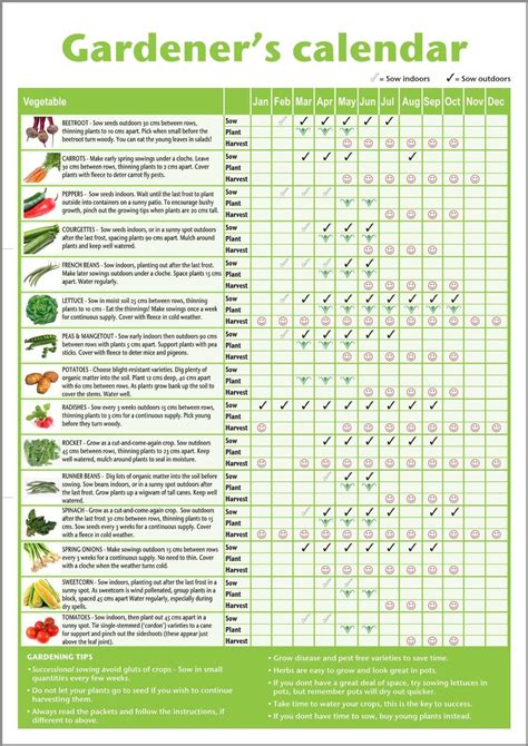 Gardening Calendar Zone 6