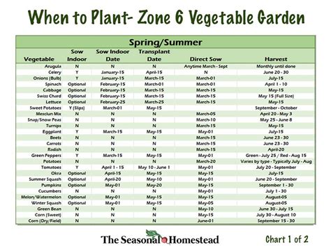 Gardening Zone 6 Guide