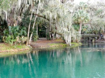 Gemini Springs in Eustis