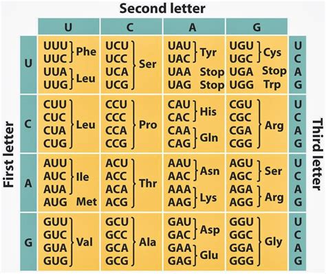 Genetic codes