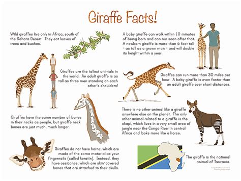 Giraffe printable benefits