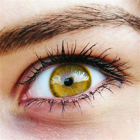 Golden eye makeup inspiration