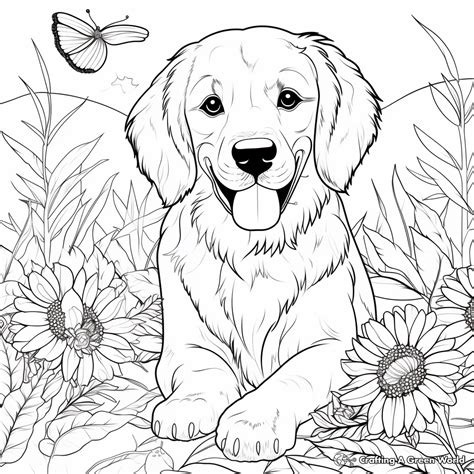 Golden Retriever coloring sheet