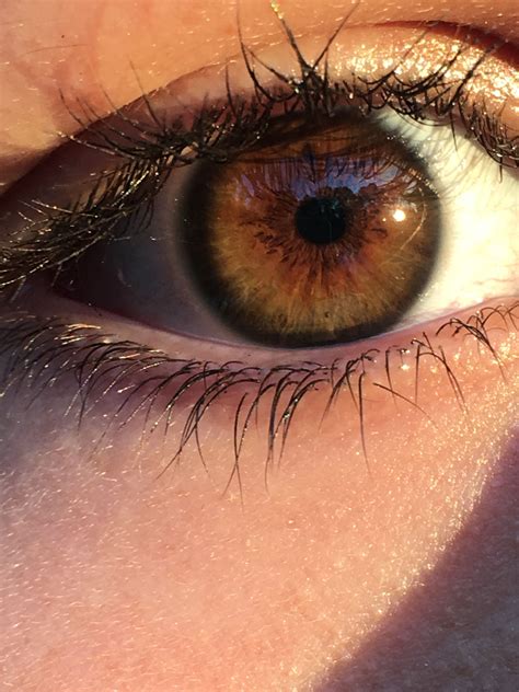 Golden brown hazel eyes