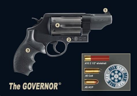 Governor Gun Gallery 9