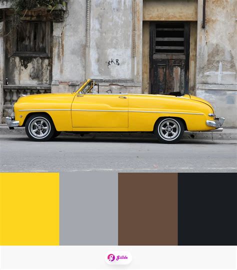 Gray Yellow Color Palettes 10