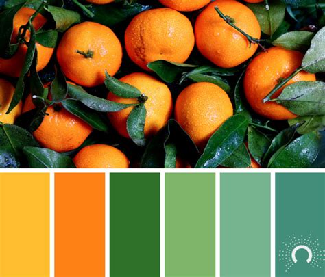 Green and Orange Color Palette Ideas