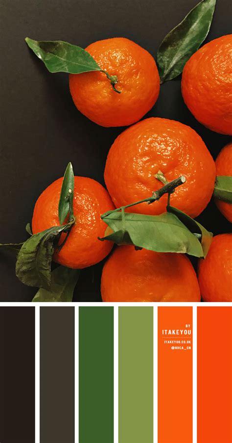 Green and Orange Design Benefits