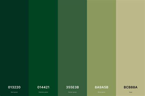 Green Palette Color