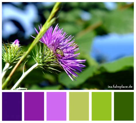 Green Yellow Purple Color Palette Inspiration