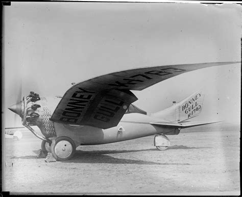 Gull Wing Aircraft 1