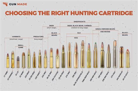 Gun caliber chart