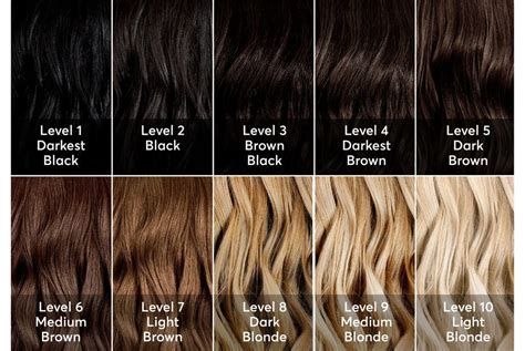 Hair Color Levels