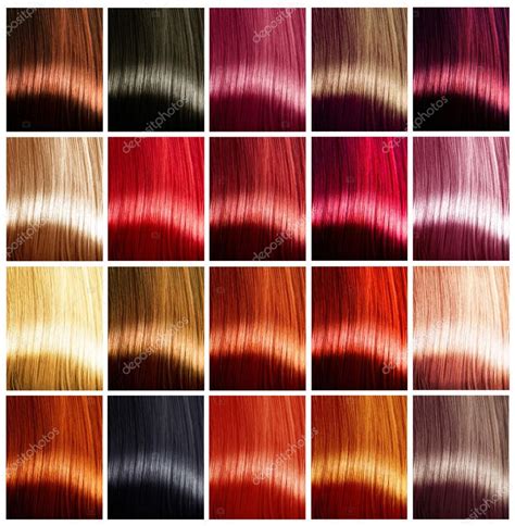 Hair Color Palette