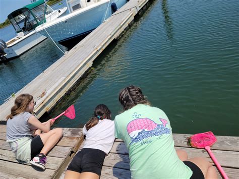 Hands-on Learning and Exploration at Block Island Maritime Institute