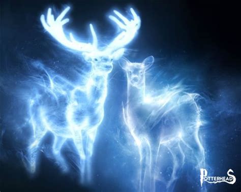 Patronus Colors