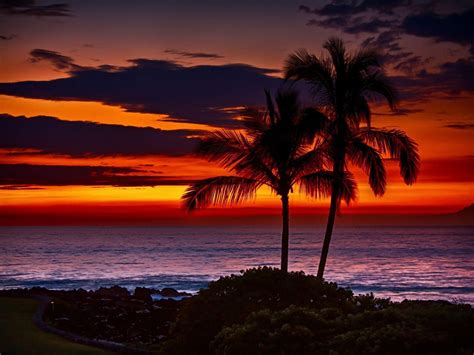 Hawaii Sunset